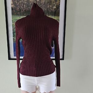 Apostrophe Maroon Ribbed Turtleneck Sweater